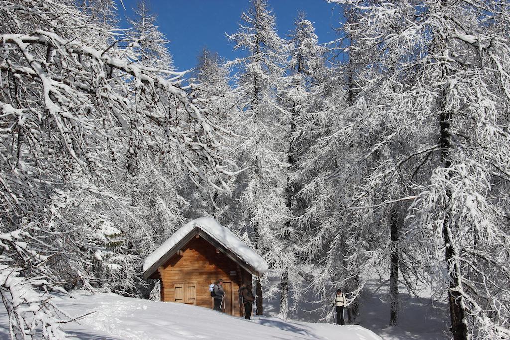 La Petite Etoile D'Hotes En Mercantour Saint-Dalmas-le-Selvage Ngoại thất bức ảnh