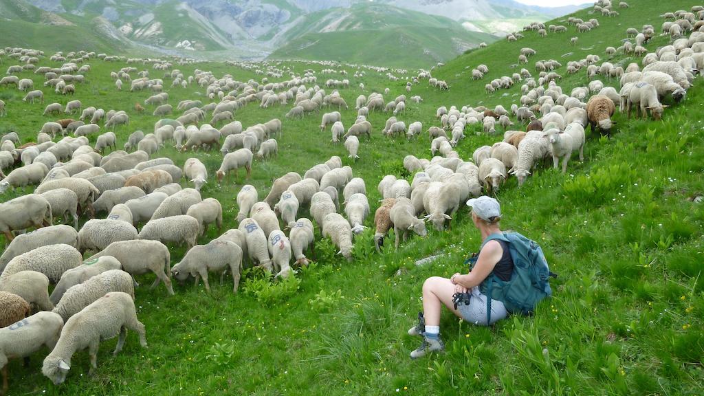 La Petite Etoile D'Hotes En Mercantour Saint-Dalmas-le-Selvage Ngoại thất bức ảnh